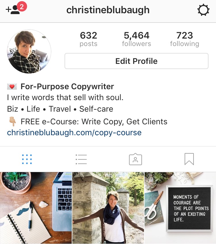 How I Used Instagram to Launch My Service-Based Biz (and ... - 750 x 848 jpeg 154kB